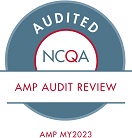 VBP4P_Audit_Review